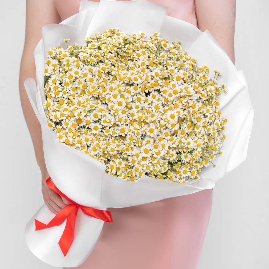 Großer Kamille-Strauß aus weißen Blüten mit gelbem Körbchen, in weißes Papier gebunden mit roter Schleife – Blumen Kreativ Wien