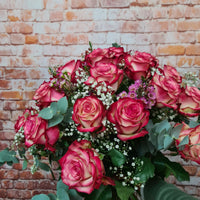 Paloma-Premium Rosen